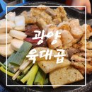 육대곱 | 맛집] 현지인 맛집 인정!! 광양 육회 맛집!! 곱창,막창,대창 구이 맛집!! 광양 육대곱 방문 솔직 후기!!