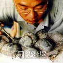 공룡알 이미지