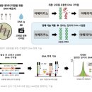 ■ DNA 메모리, 초저전력 대용량 저장 가능 이미지