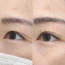 글로우브로우 | 마곡나루역 속눈썹펌 추천 '글로우브로우' 노글루펌 솔직후기