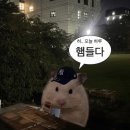 2023년 10월