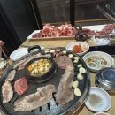 육백플러스 이미지