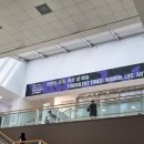 보고 왔어요! 천경자 탄생 100주년 기념, 서울시립미술관 feat. 무료 전시 추천