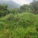 산외면~종산리 이미지