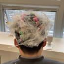 우디헤어 이미지