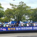 낙동강변 | 제20회 달서 하프마라톤, 10월 4일 낙동강변 코스모스 코스 개막