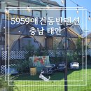 5959애견동반펜션 이미지