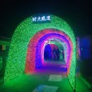 등광제 | 청도(青岛), 중산공원에서 열리는 등광제(灯光节)