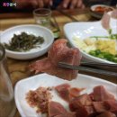 초원홍어 이미지