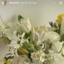 라플로움 네이버블로그