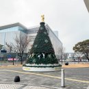 조이마루 | 2025 GTOUR 챔피언십 대전 조이마루 현장의 열기 직관후기