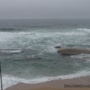 SEA & STAY 이미지