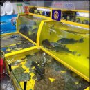 호남수산횟집 이미지