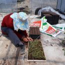 스마일2 농장 이미지