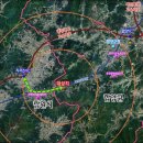 인산죽염 쿠키뉴스