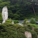 최씨농산