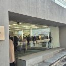 비젼 | 8DIVISION 에잇디비젼 명동 매장 방문 후기 -8디비젼 명동 위치 및 세일-