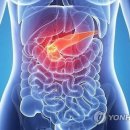 준수시 이미지