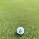 MGA 골프 이미지