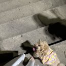 체육관매점 이미지