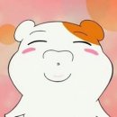머그인스타 이미지