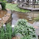 지리산 다랭이 스테이 이미지