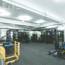 필라트니스 이미지