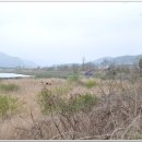 여주-0686 이미지