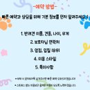 여기오개 이미지