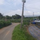 속시원한길 행정사 사무소 이미지