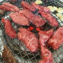 고경벌초