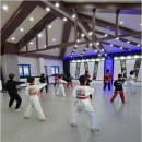 한국체대 영우태권도 이미지