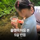 엘디팜영농조합법인 제2농장 | 용인한터농원 5살 아이랑 다녀온 후기 (용인가볼만한곳, 용인피크닉장소 추천)