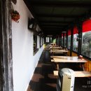 라임오렌지 이미지