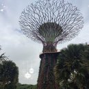 알찬슈퍼 | 싱가포르 슈퍼트리쇼 시간 명당 위치 후기 정리