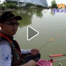 대해양어장 티스토리