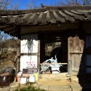 아미미술관 티스토리