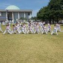 고려대 솔빛 태권도 이미지