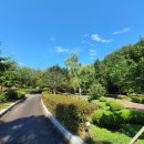 벌마들로 이미지