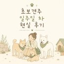 삼호동물병원 | 시골개 진드기 처음 발견한 날, 당황하지 않고 대처한 방법