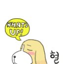무전해물찜 이미지