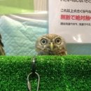 옷수선 이미지
