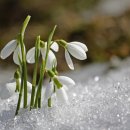 봉곡도서관 이미지