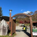 금대에코힐링캠핑장 | [Review] 원주 캠핑장 추천 _ 금대에코힐링캠핑장