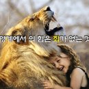양순 이미지