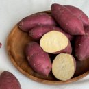 피트니스 더 클럽 이미지