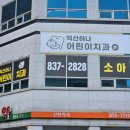 익산하나어린이치과의원 | 익산 하나 어린이치과 모현동 영유아구강검진 다녀왔어요 (24년)