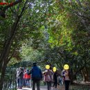 이재옥농장 이미지