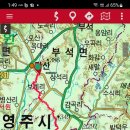 자개미 이미지