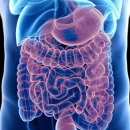 더 케이 짐 이미지